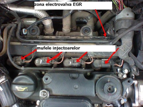 vedere ansamblu motor sagetile indica pozitionarea injectoarelor.JPG