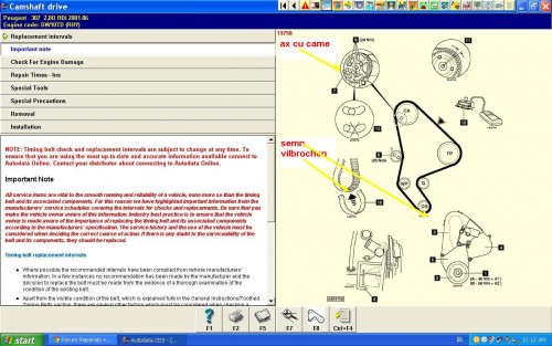 distributie Peugeot 307.JPG